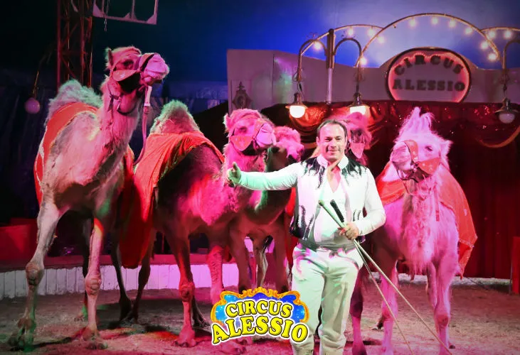 Veranstaltung von Circus Alessio - Tina Kaiser