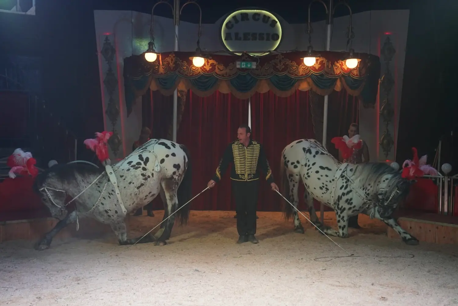  Zirkus von Circus Alessio - Tina Kaiser